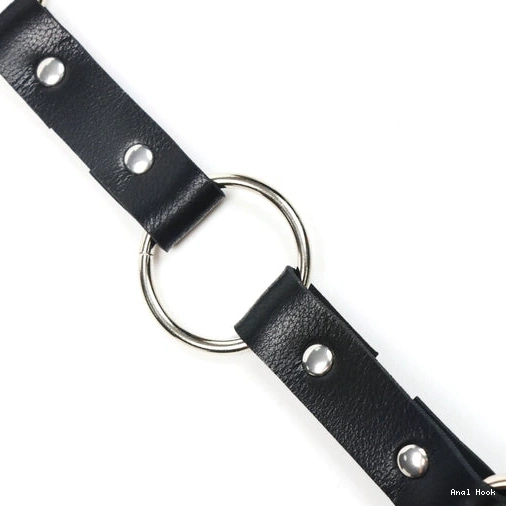 Anal Collar EverydayUse 5853 with and Hook Kinky Leash 0106